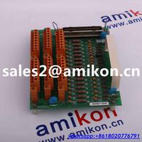 GE PLC IC698CHS017 | sales2@amikon.cn distributor